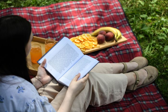 Плед Ardesto Picnic 130х170см, 100% полиэстер, клетка красный