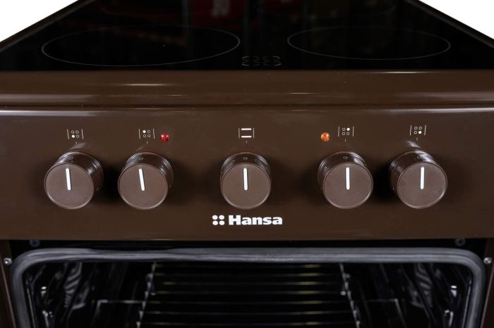 Плита Hansa электрическая стеклокерамическая, 50х60см, 68л, коричневый