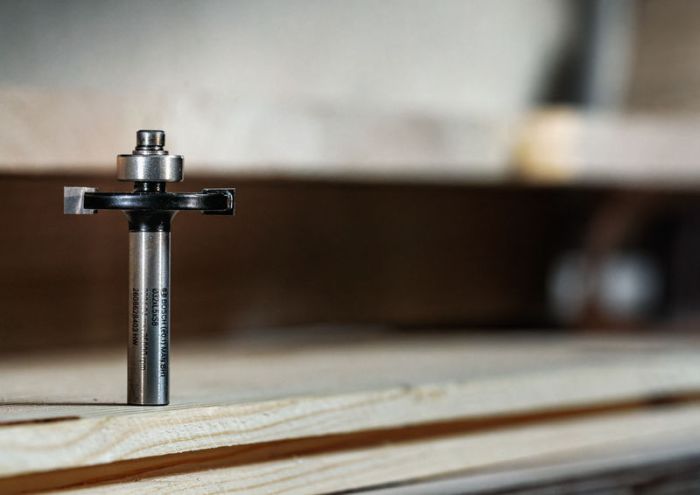 Фреза дискова Bosch Professional S8 D32 L6