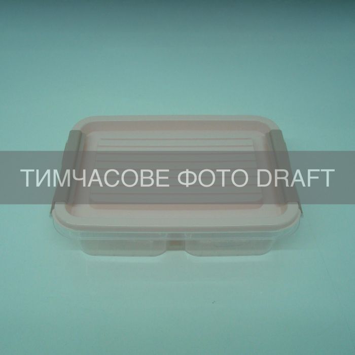 Контейнер двосекційний для зберігання харчових продуктів ARDESTO Fresh 2х0.25л, пластик, прямокутна, рожевий