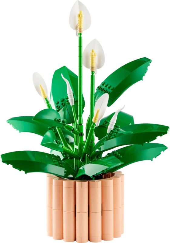 Конструктор LEGO Botanicals Спатифилум