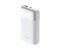 Акумулятор портативний літій-іонний Power Bank D-Link 10000мА*год 18Вт 1xUSB-A, 1xUSB-C, білий