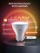 Набор ламп 2шт Govee B600D GU10 Smart LED Bulb, RGBWW, WI-FI/Bluetooth, белый