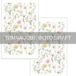 Набір рушничків для кухні ARDESTO Spring flowers 38х63см, 2шт, 100% бавовна, білий