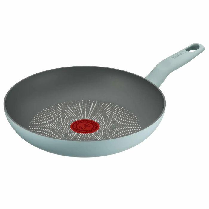 Сковорода Tefal Halo EUCALYPTUS, 24см, алюміній, бакеліт, сірий