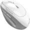 Миша Genius Ergo 8350S, Silent, AI, WL/BT, біло-сірий