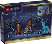 Конструктор LEGO Harry Potter Заборонений ліс: Експекто патронум