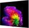 Телевізор 55" LG OLED 4K 120Hz (VRR 165Hz) Smart WebOS Black