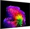 Телевізор 77" LG OLED 4K 120Hz (VRR 165Hz) Smart WebOS Black