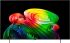 Телевізор 65" LG OLED 4K 120Hz Smart WebOS Black