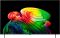 Телевизор 55" LG OLED 4K 120Hz Smart WebOS Black