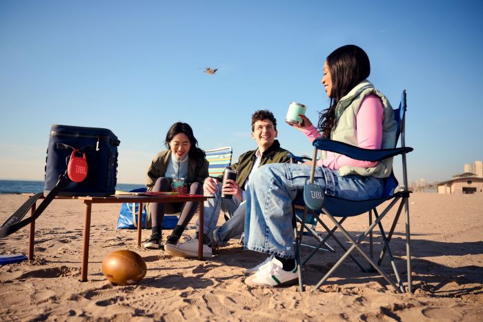 Акустическая система JBL Clip 5 7Вт, BT 5.3, IP67, Синий