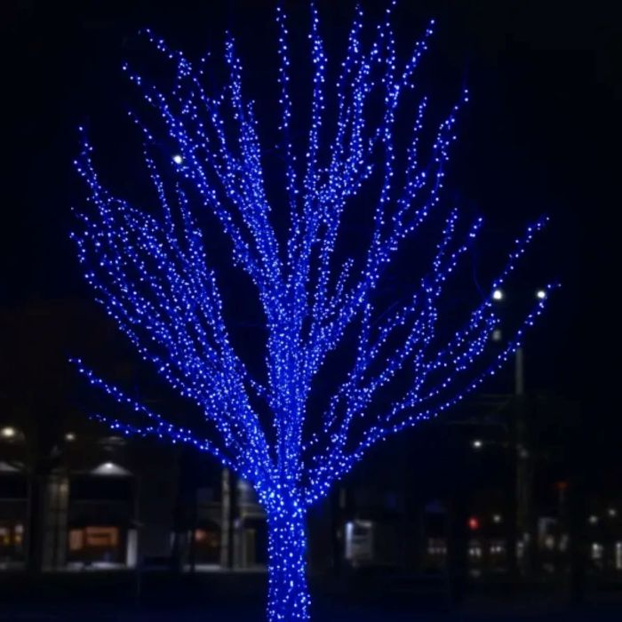 Гірлянда Нитка вулична 30 (м) 300 LED чорний провід Синій CF300L30MBBL