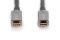 Кабель DIGITUS USB-C UHD 4K, AOC hybrid-fiber, type C M/M, 10м, черный