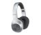 Наушники Panasonic RB-HX220BEE Over-ear Wireless Mic Silver