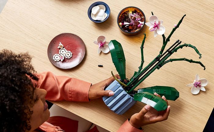 Конструктор LEGO Icons Botanicals Орхидея