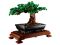 Конструктор LEGO Creator Expert Botanicals Дерево бонсай