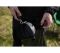 Сумка Neo Tools, нейлон 40D, 10л, водонепроникна, зелена