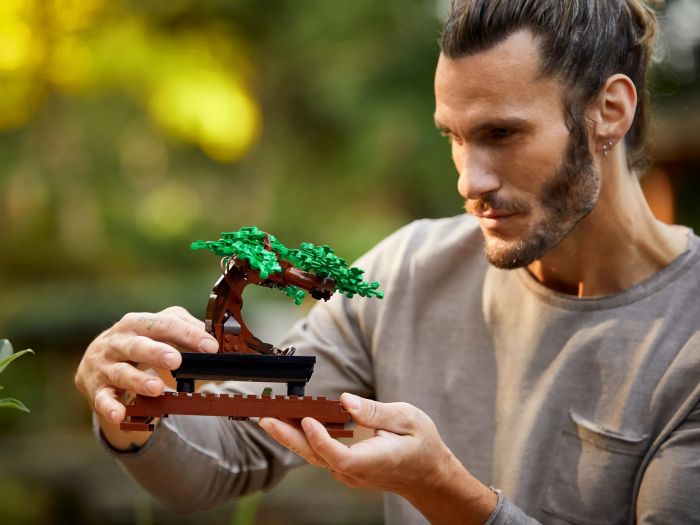 Конструктор LEGO Creator Expert Botanicals Дерево бонсай