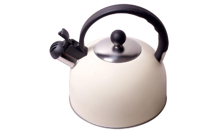 Чайник нержавіючий Kamille 2.5 л 0679A (0679A)