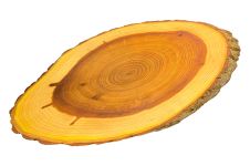Доска разделочная Eco Tabulas 420 x 230 x 30мм овальная в коре Lux (ас74)