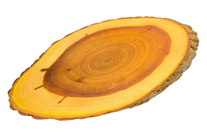 Доска разделочная Eco Tabulas 420 x 230 x 30мм овальная в коре Lux (ас74)