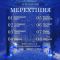 Гірлянда штора 2х2 м 240 LED світлодіодна мідний провід 8 ниток Синій ZWM2240LEDBL